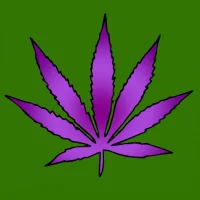 Zamalia